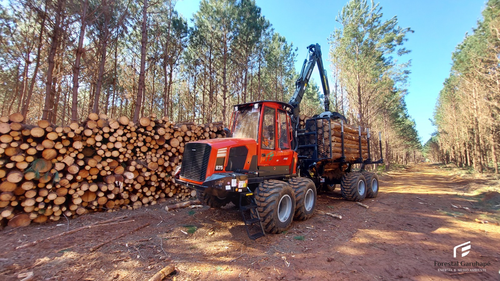 Extracción de madera