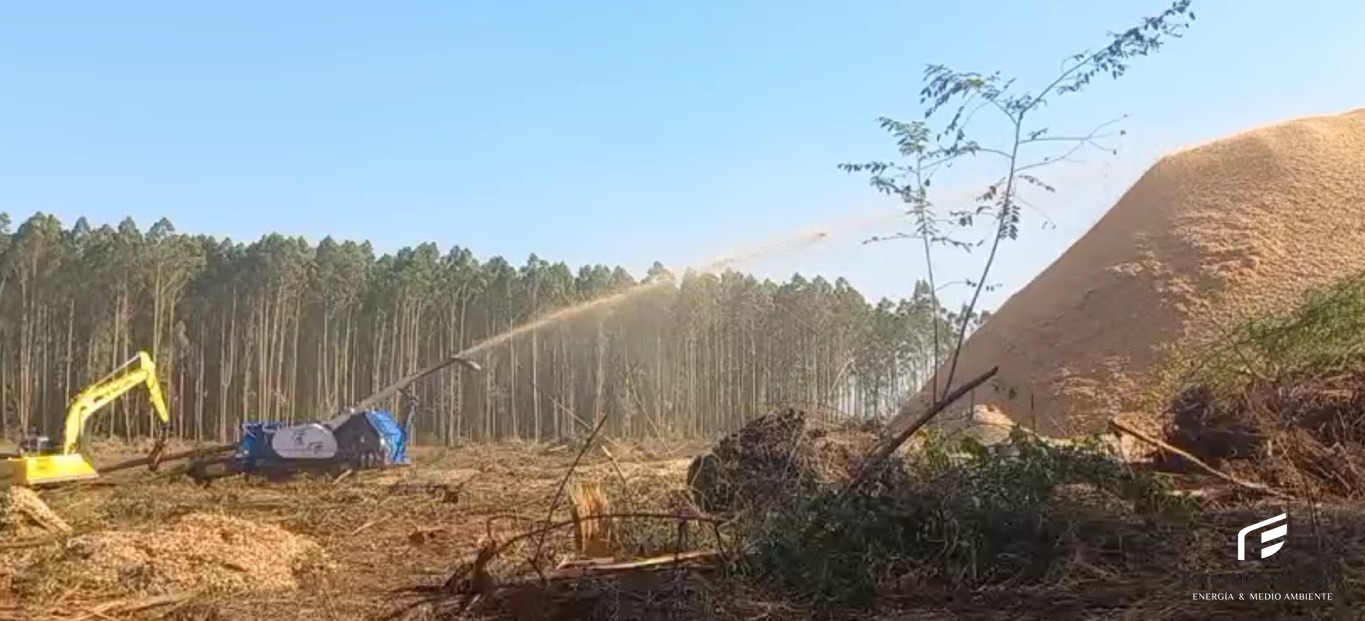Carga de biomasa