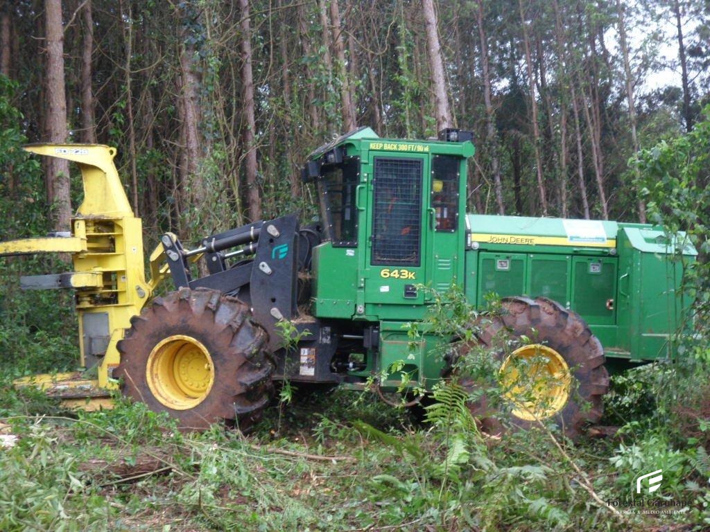 Feller Buncher 643
